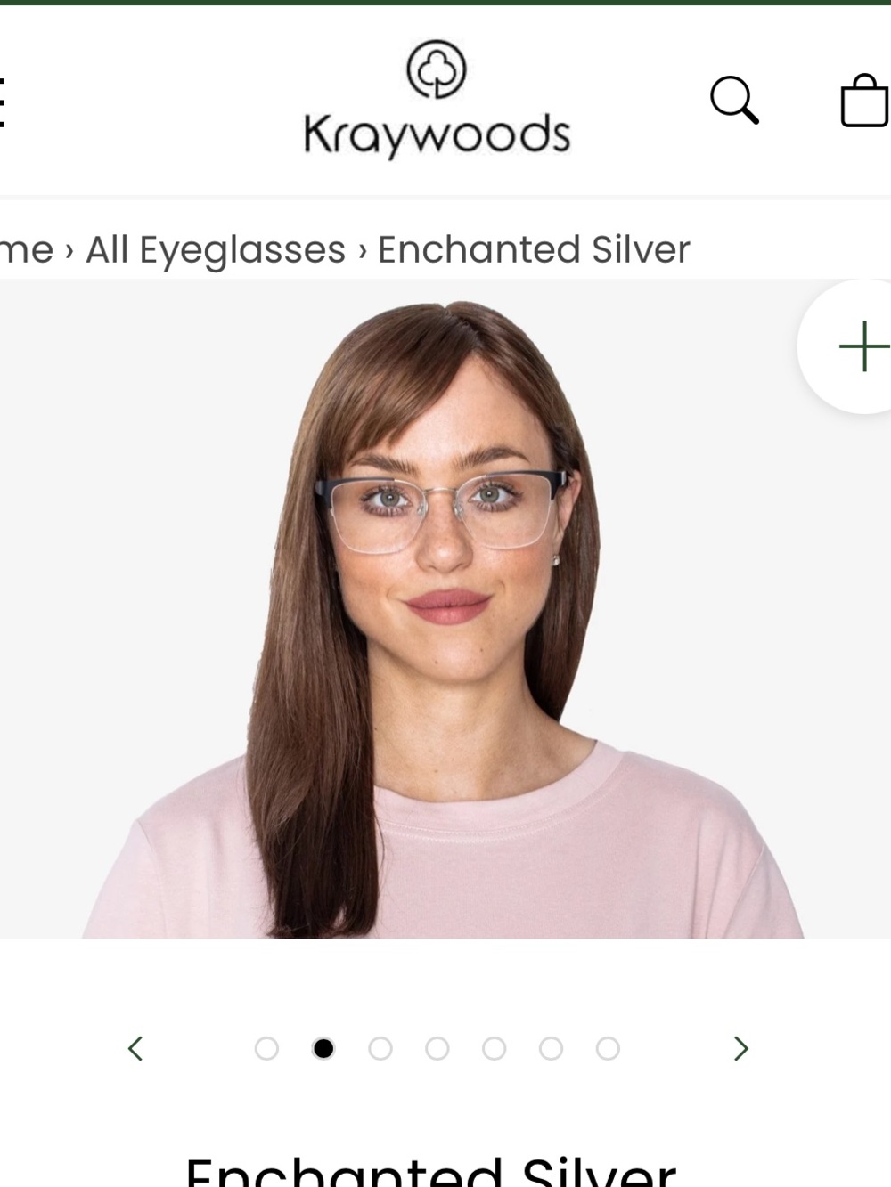 Enchanted Silver Metal Eyeglasses Frames - Silver